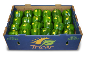 Tricar_GreenBellPeppers-Box